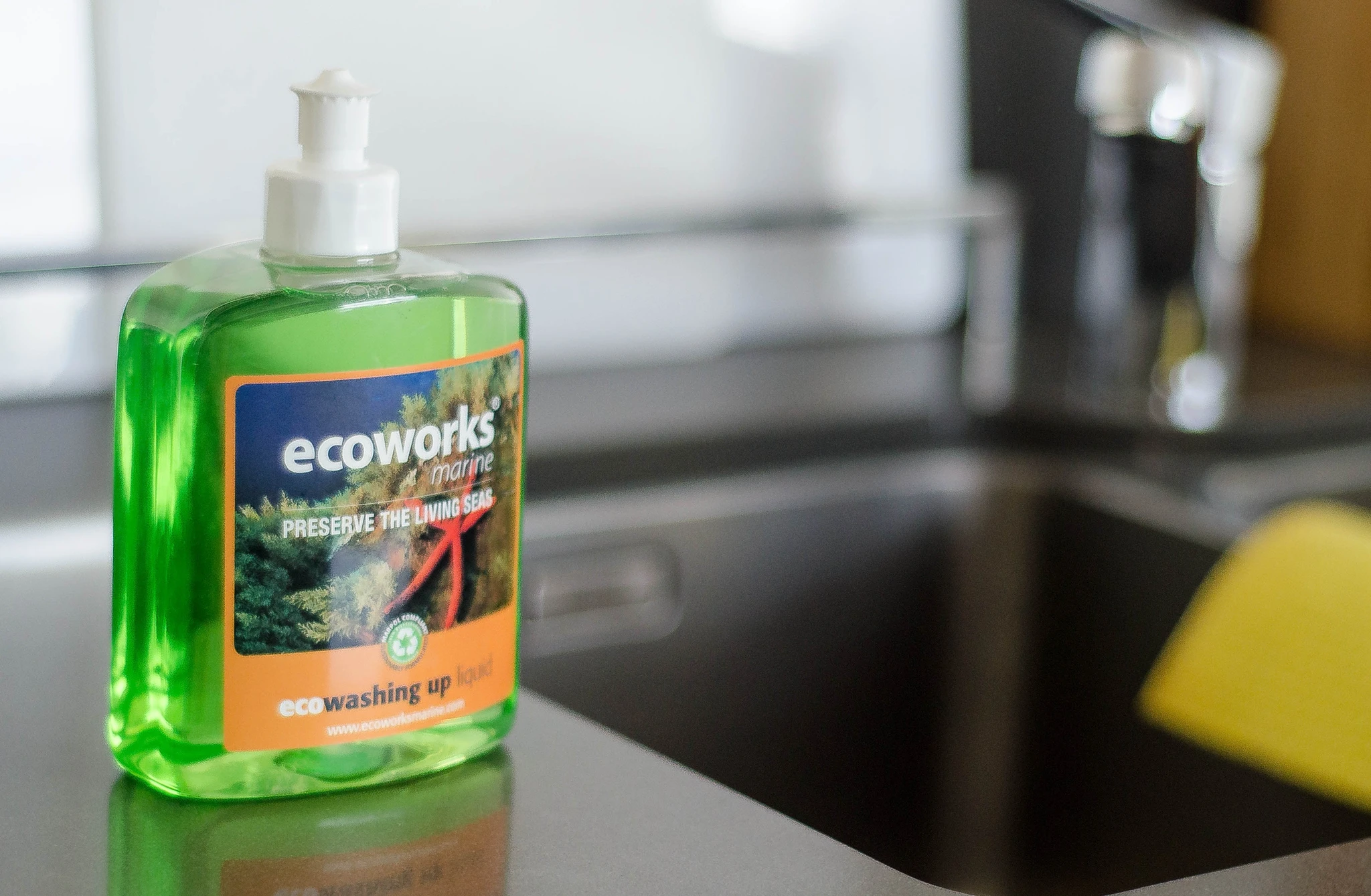 Ecoworks Washing up Liquid