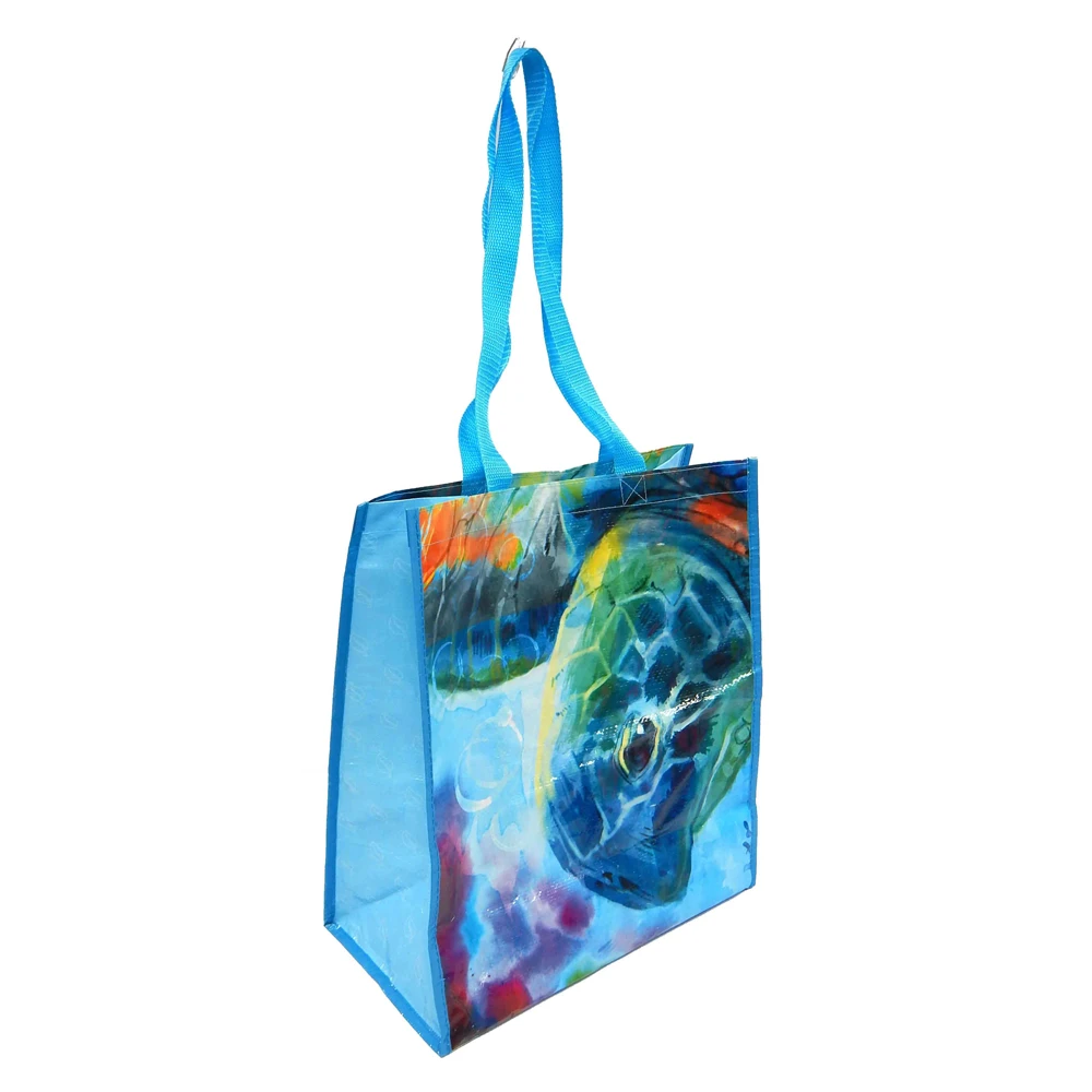 Reusable Shopping Bag