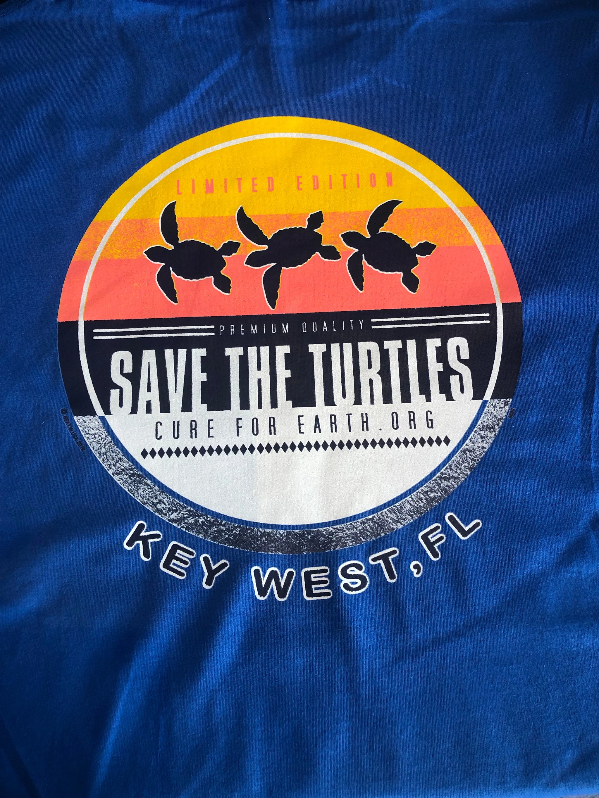 Save the Turtles, Hatchlings Journey